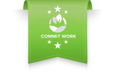 COMMIT WORK 12